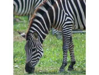 Leesburg Animal Park - 4 Admission Passes