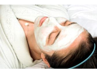 One 30-Minute Massage or Facial - Alternative Health Associates (Alexandria, VA)