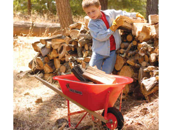 $50 Certificate for Montessori Products from 2 Catalogs: For Small Hands/Montessori Servcs