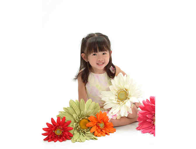 $100 Certificate for Portrait Innovations in Fair Lakes