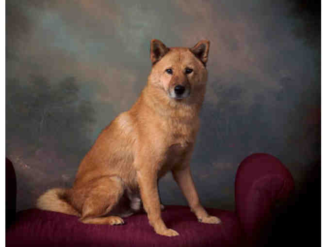 Lee's Photography - $1,000 Gift Certificate