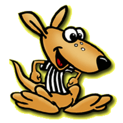 Sport Bounce of Loudoun