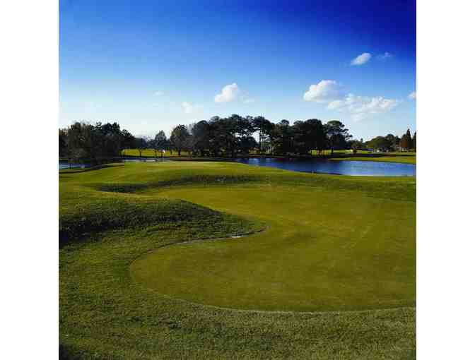 Tampa Golf Experience