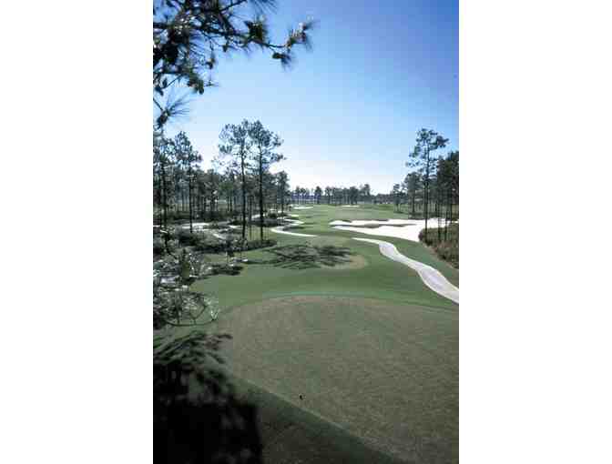 Tampa Golf Experience