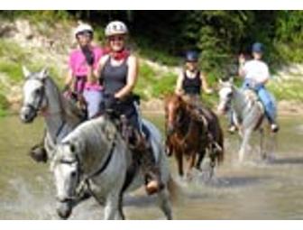 Two Adventure Horseback Trail Rides--HOUSTON