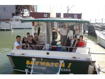 See Dolphins On a Private Charter Aboard the Galveston, TX Baywatch Tour