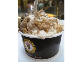 Host a Marble Slab Ice Cream Party for 100 (anywhere in Houston, TX)