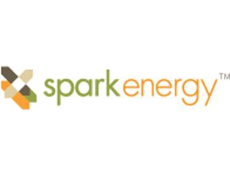 One Year of Free Residental Electricity by Spark Energy-Anywhere in Texas