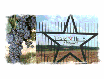 Texas Hills Vineyard Tour & Tasting with Food Pairings for Up to 12