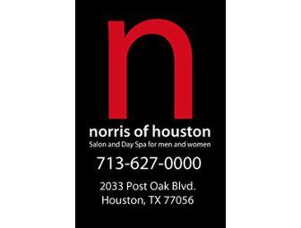 Haircut, Style & Make-Up Application at Norris of Houston Salon & Day Spa