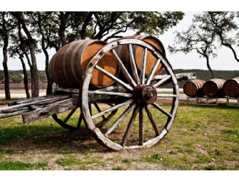Winery Tour and Tasting for up to 12 - Texas Hills Vineyard