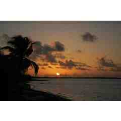 SandDollar Cove Cottages