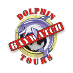 Galveston Baywatch Dolphin Tours