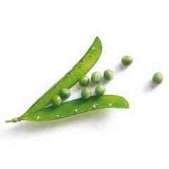 Les Petits Pois Villa