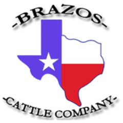 Brazos Cattle Company of Texas