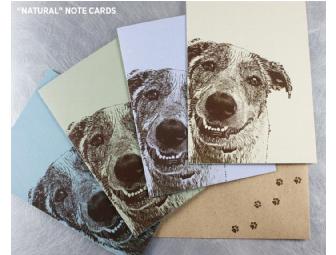 Gift Certificate for an 11x14 Custom Pet Portrait & Note Cards