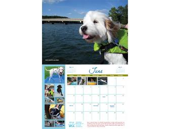 Feature Photograph of your Pet in our 2013 Calendar!