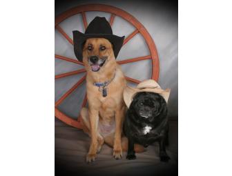 Photo Session with 16x20 Canvas