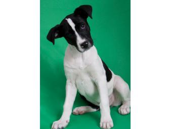 Photo Session with 16x20 Canvas