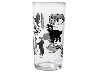 Fishs Eddy Dog Glasses Gift Box of 4