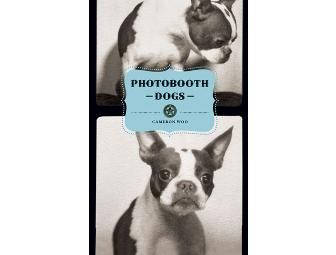 Doggy Readings and Greetings