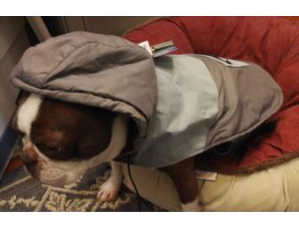 AKC Brand Doggie Windbreaker