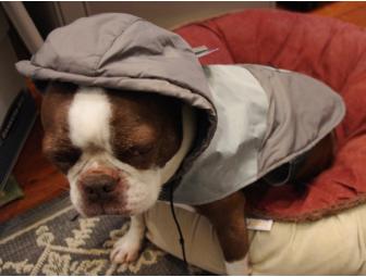 AKC Brand Doggie Windbreaker