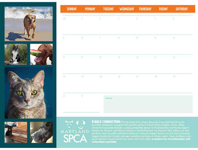 Feature a Photograph of your Pet in our 2016 Calendar!