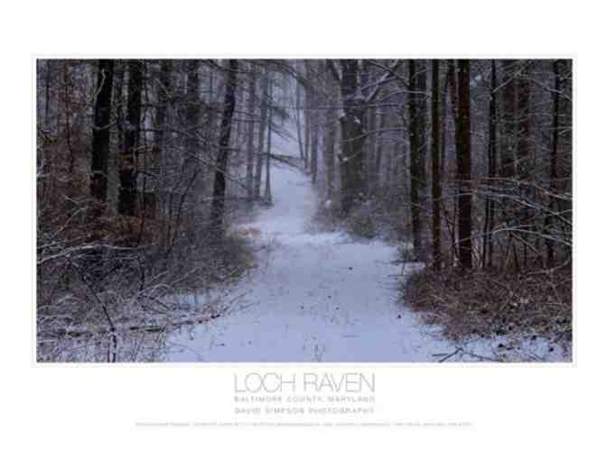 Loch Raven Hardcover by David Simpson