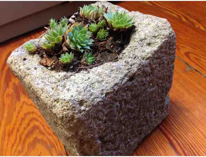 'Eco Design' Handmade Planter