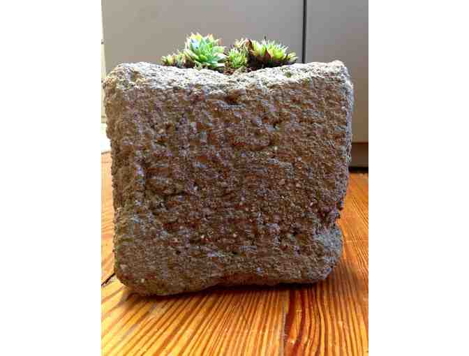 'Eco Design' Handmade Planter