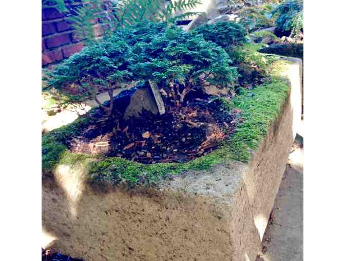 'Eco Design' Handmade Planter