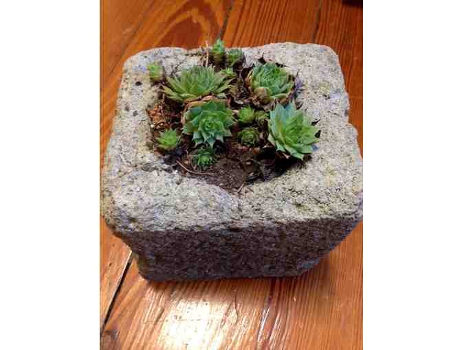 'Eco Design' Handmade Planter