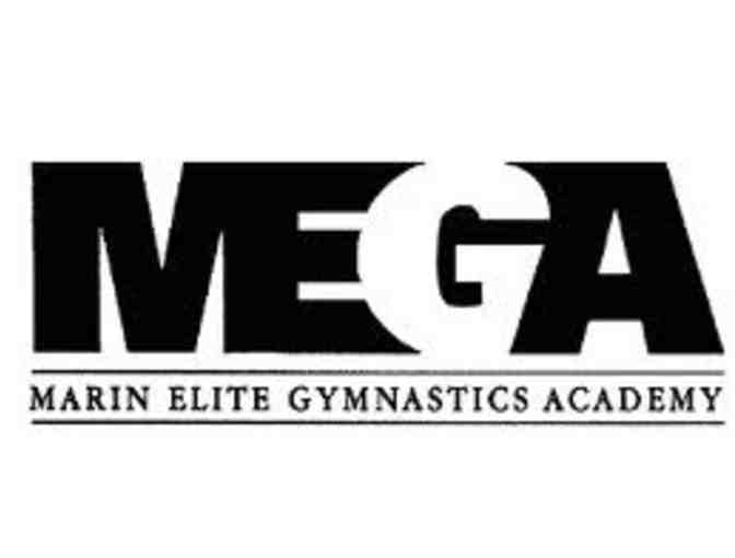 MEGA Gymnastics - 'It's all about Gymnastics!' Gift Basket