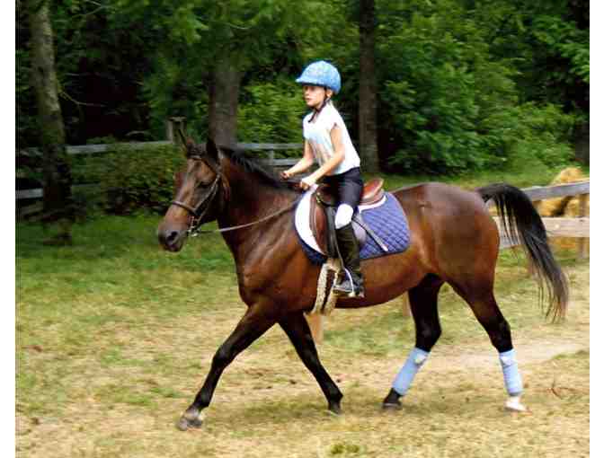 1 Introductory Riding Lesson for Child or Adult