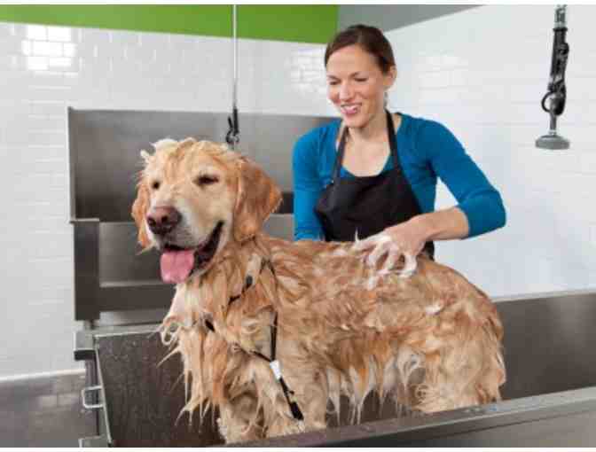 Six Pet Washes at Woodlands Pet Food & Treats, Novato