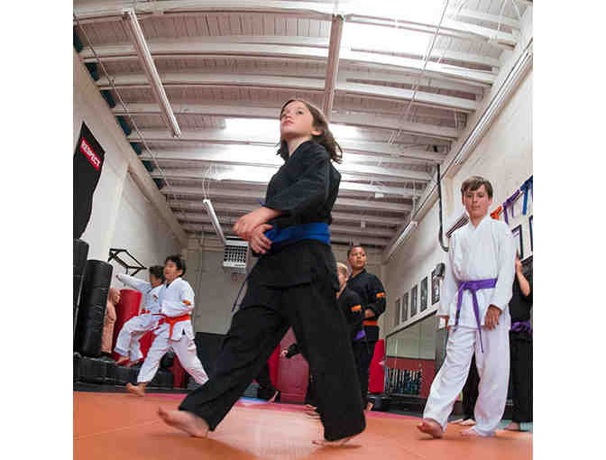 1 Month Membership to Dojo Fit (Adult Fitness) in San Anselmo