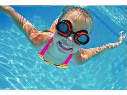 1 Two-Week Session of Group Swim Lessons at the Ann Curtis School of Swimming