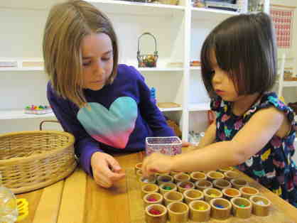 Pre-Primary Assistant For Laurin & Melissa For The Morning