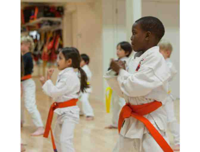 Birthday Party for up to 15 Kids at Mojo Dojo Karate