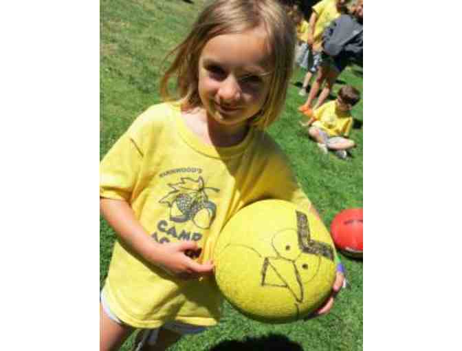 1 Week of Marinwood Summer Day Camp for 1 camper Summer 2019