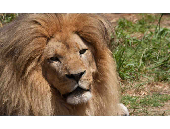 A Day at the San Francisco Zoo for Two