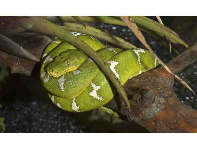 A Day at the San Francisco Zoo for Two