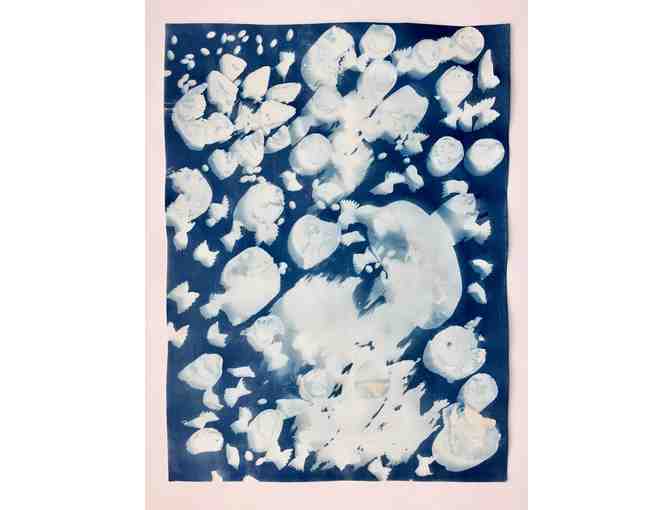 'Large Scale Cyanotypes' - by the Redwood Room