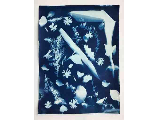 'Large Scale Cyanotypes' - by the Redwood Room