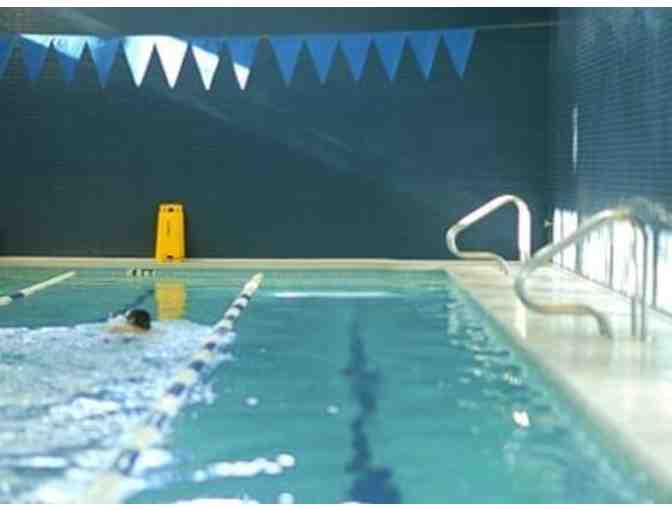 3 Month INDIVIDUAL Executive Club Membership at Bay Club