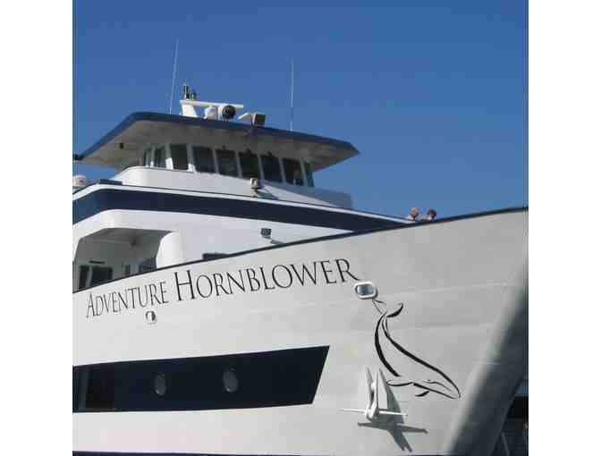 Hornblower Cruises and Events - Photo 1
