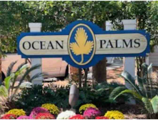 Ocean Palms Condo at the Westin on HHI-Week of March 1 - 8, 2025 - Photo 4