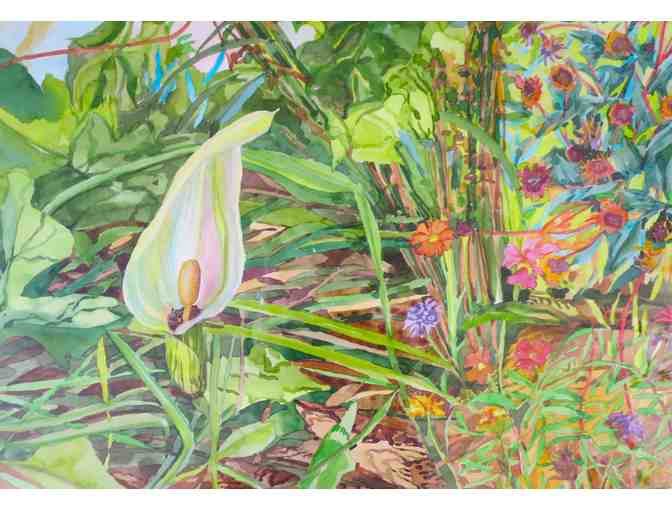 Arum and Thistle (watercolor, framed, 35'W x 28'H), Linda MacDonald
