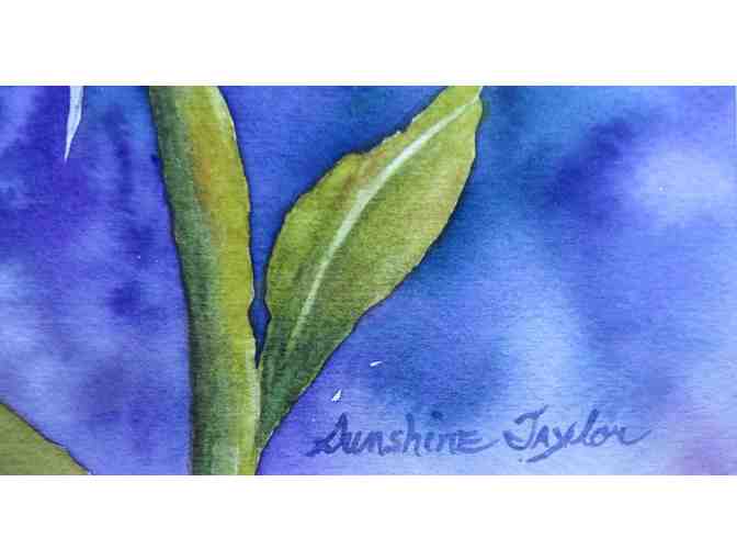 Flamboyant One (watercolor, framed, 15.5'W x 12.5'H), Sunshine Taylor